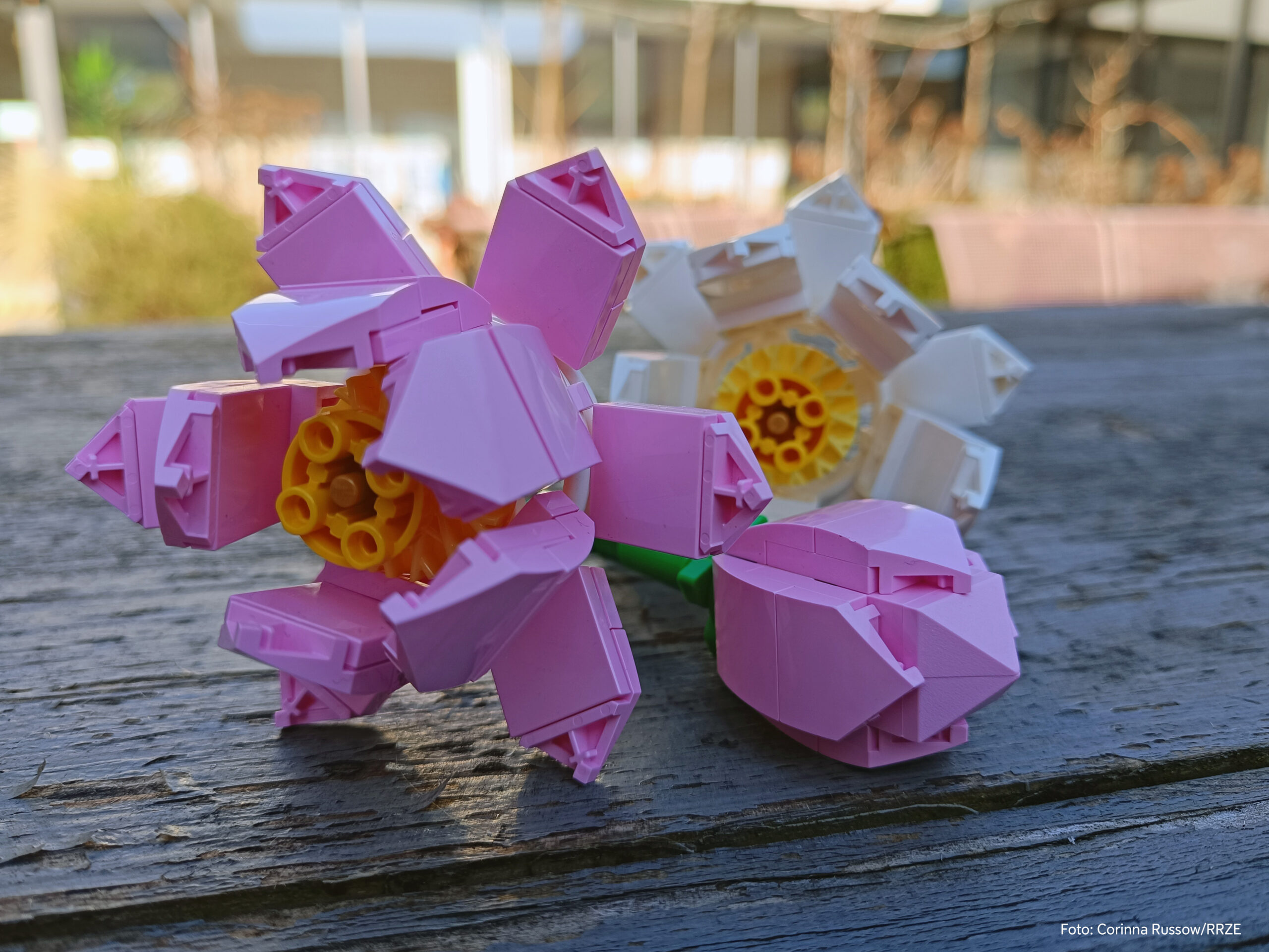 Auf einer Bierbank, die deutliche Gebrauchsspuren hat, liegen Blumen aus Lego - eine rosa aufgeblühte linsk, rechts unten eine rosa Knospe und hinten eine weiße, aufgeblühte. Der Hintergrund ist unscharf.